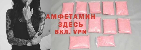 индика Алзамай